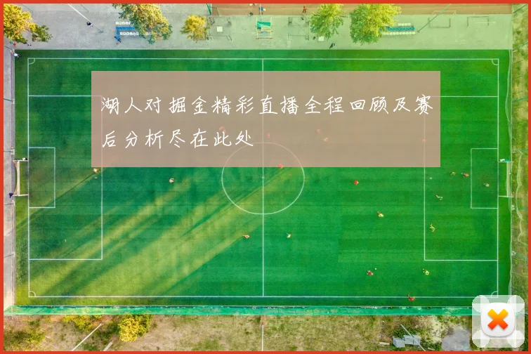 湖人对掘金精彩直播全程回顾及赛后分析尽在此处